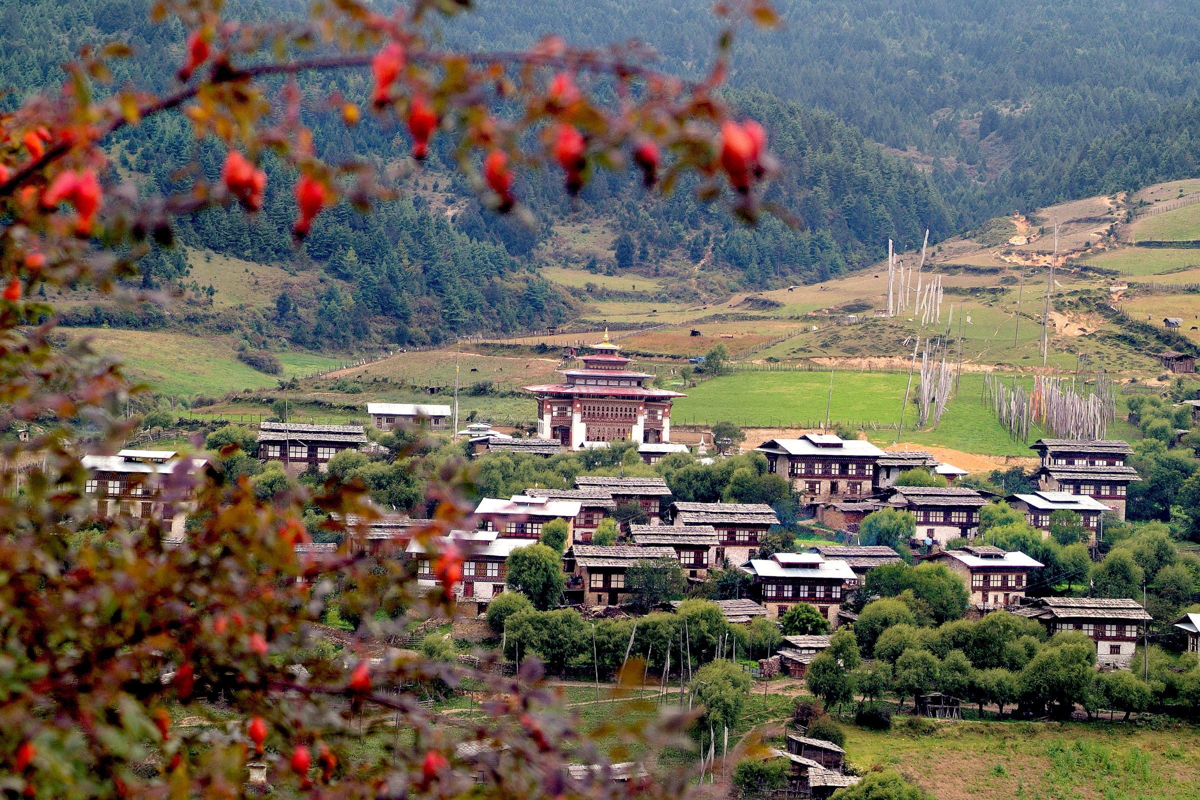 Bumthang[1].webp